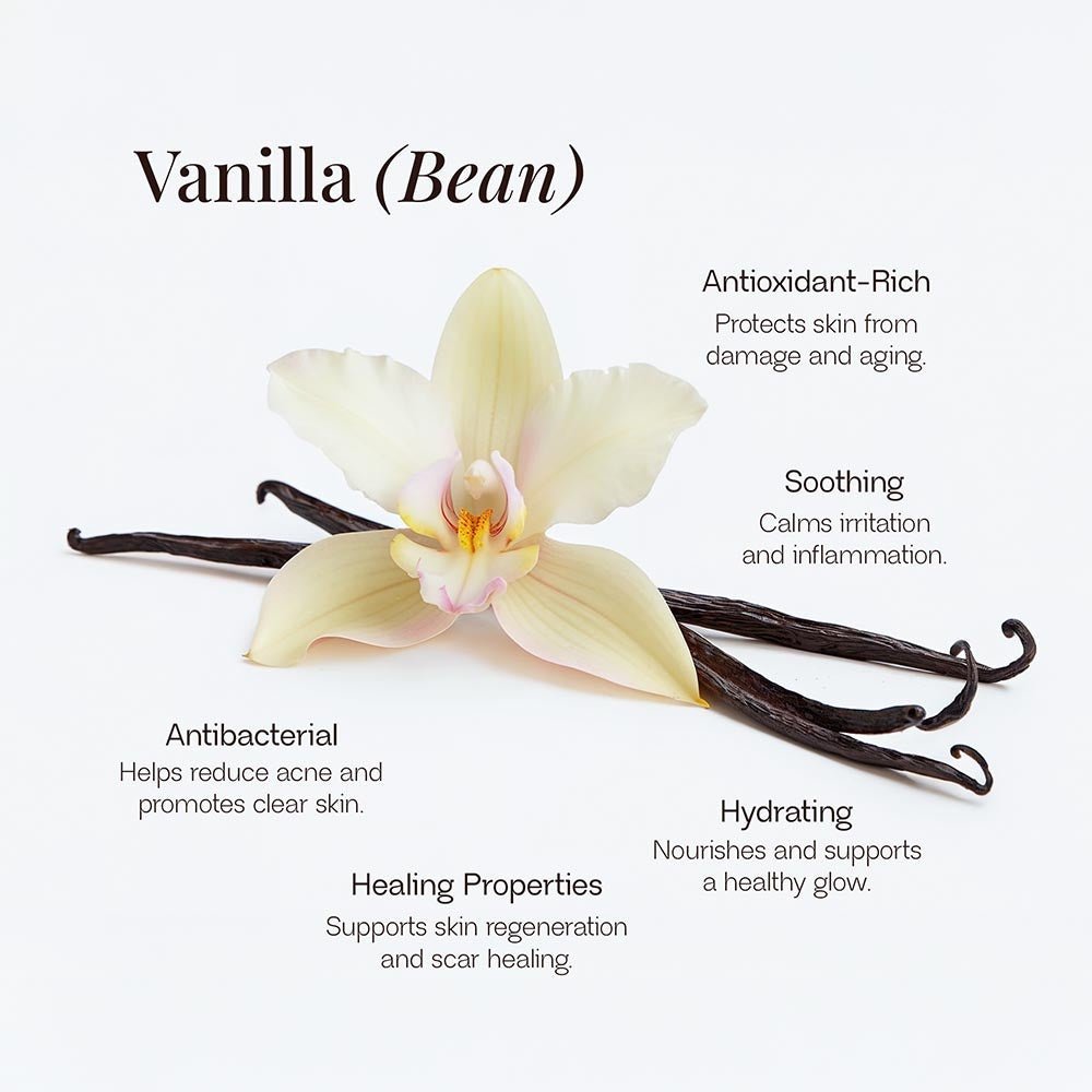 Glisten by Hermajesty Whipped Grass-Fed Tallow Balm with Vanilla Bean